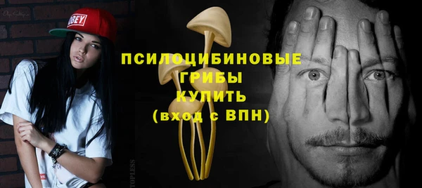 ГАЛЛЮЦИНОГЕННЫЕ ГРИБЫ Баксан
