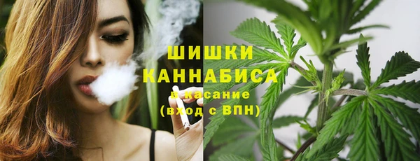 стаф Балахна