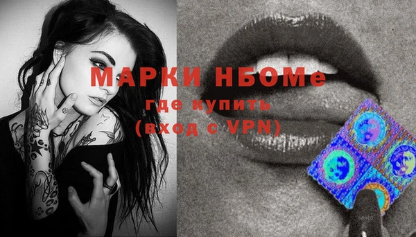 стаф Балахна