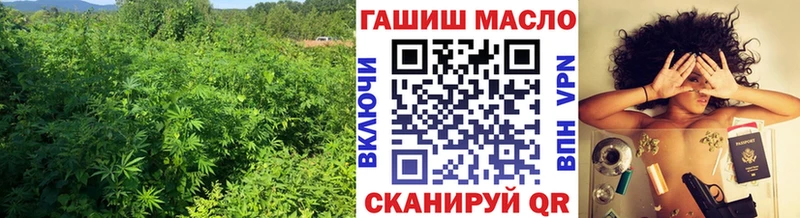 ТГК Wax  Новотитаровская 