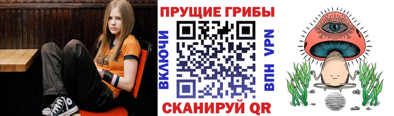 где продают наркотики  Новотитаровская  Галлюциногенные грибы мицелий 
